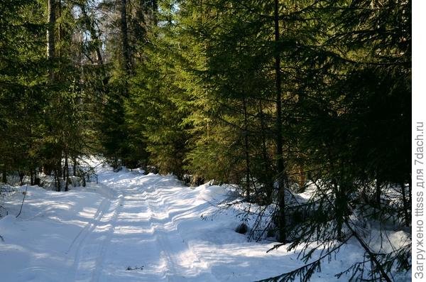 Зима - это уютная мягкость