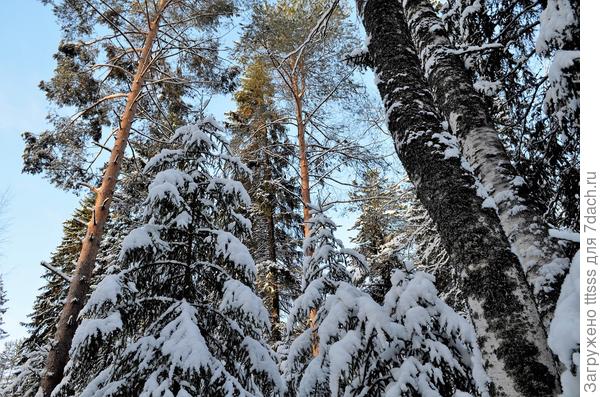 Зима - это космос