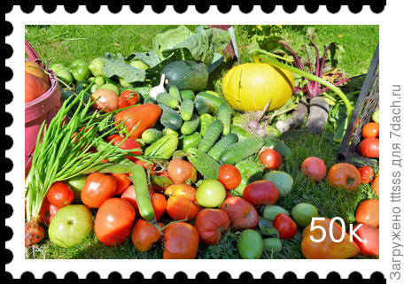 Почтовая марка