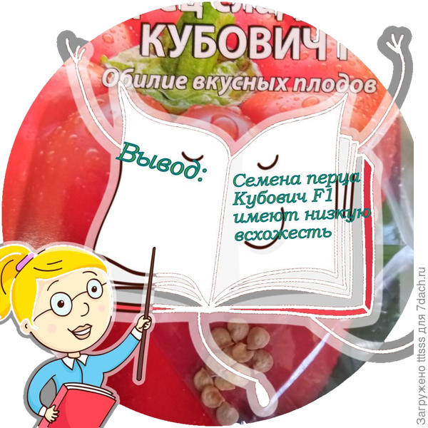 Вывод