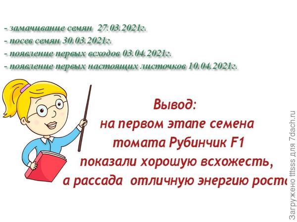 Вывод