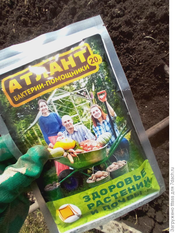 Препарат АТЛАНТ