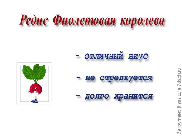 Заявленные характеристики сорта