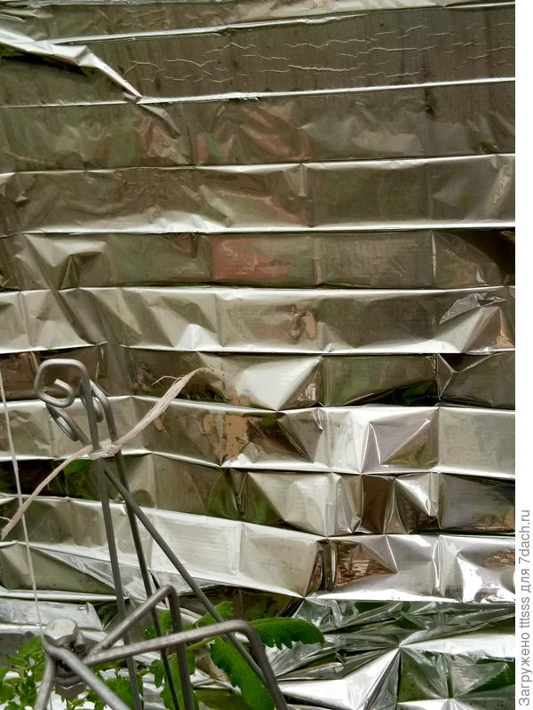 Светоотражающая плёнка