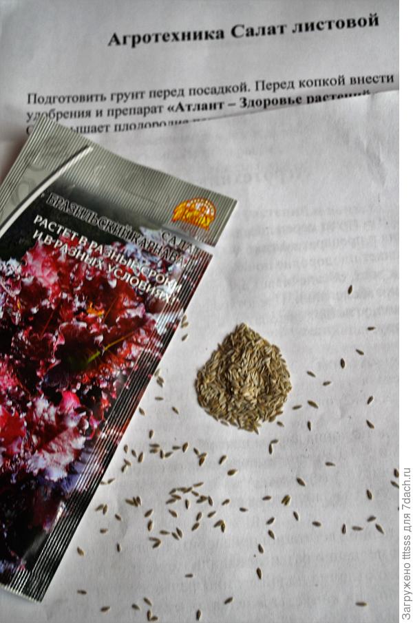 Семена салата Бразильский карнавал