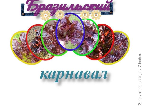 Салат Бразильский карнавал