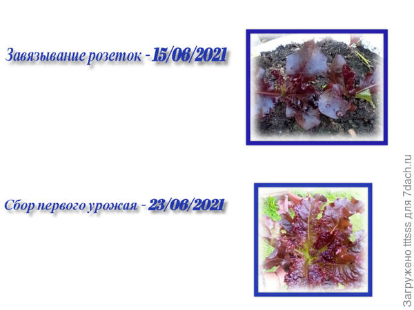 Хроника событий