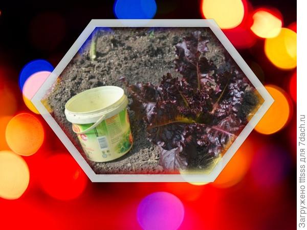 Салат Бразильский карнавал