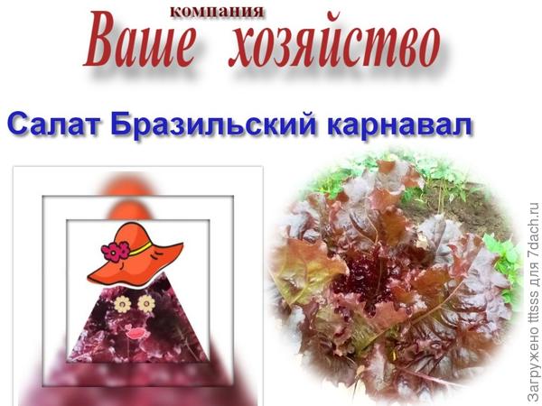 Салат Бразильский карнавал