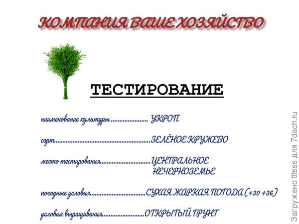 Итоги тестирования