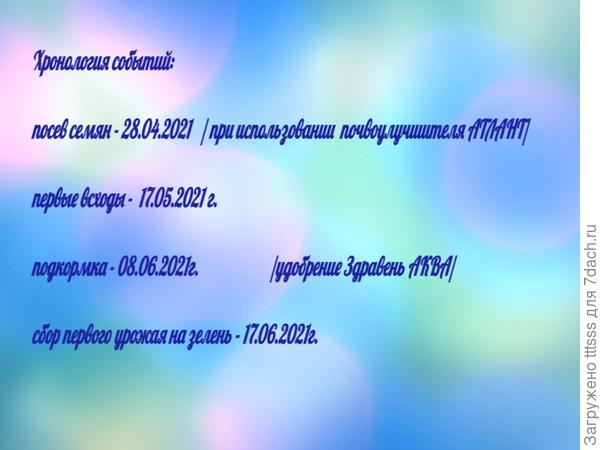 Хронология событий