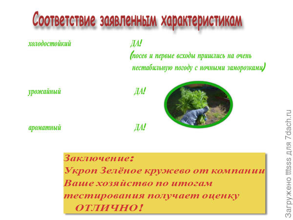 Итоги тестирования
