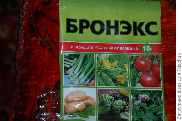 Препарат Бронзкс