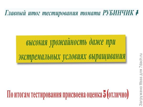 Итоги тестирования