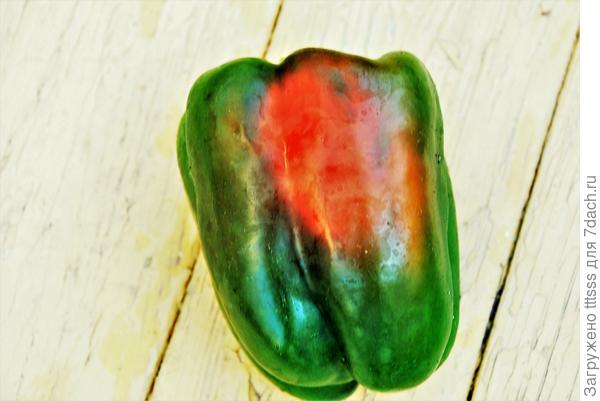 Первый урожай