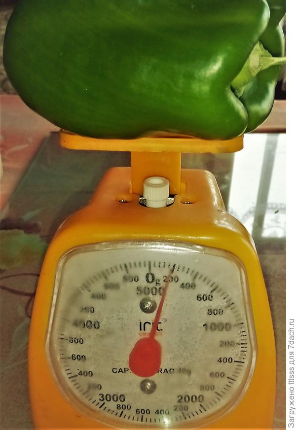 Взвешивание