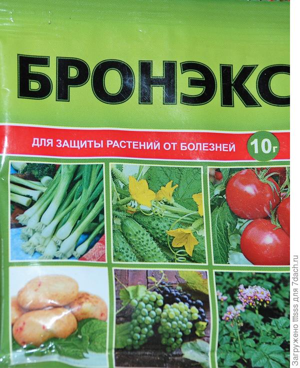 Препарат Бронэкс