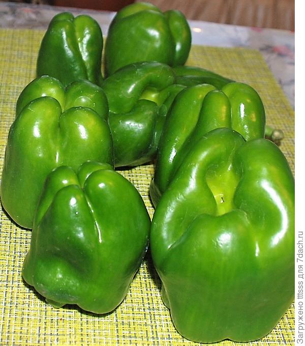 Перец Кубович F1