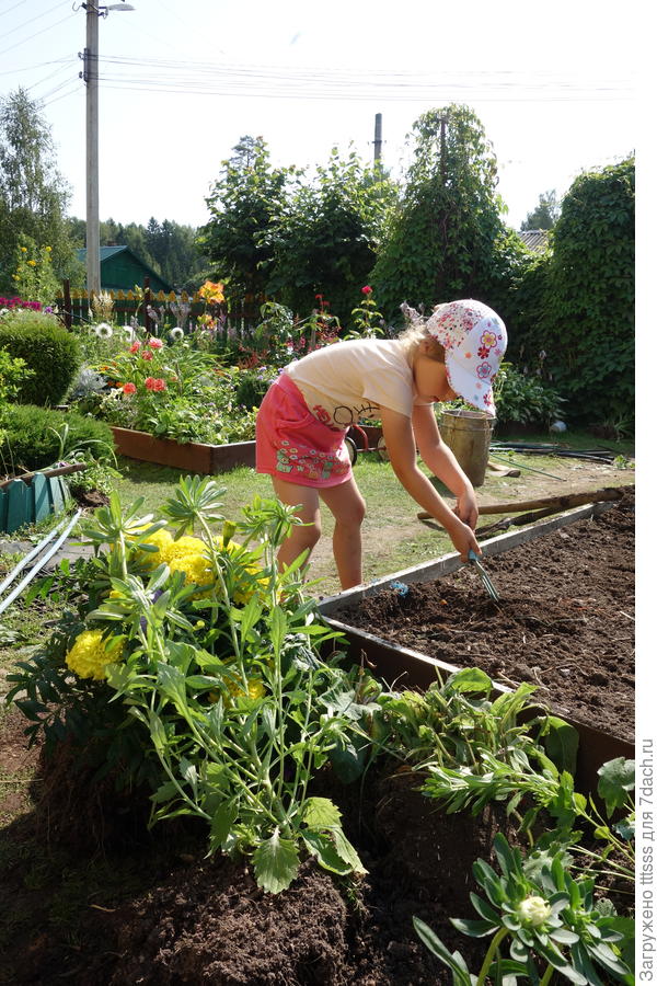 Без помощников не обойтись