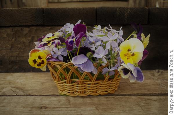 Цветочная композиция