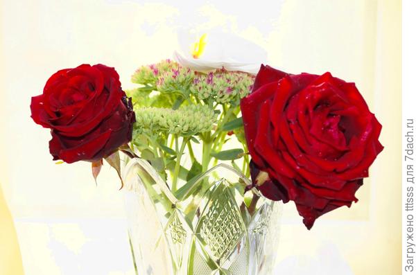 Цветочная композиция