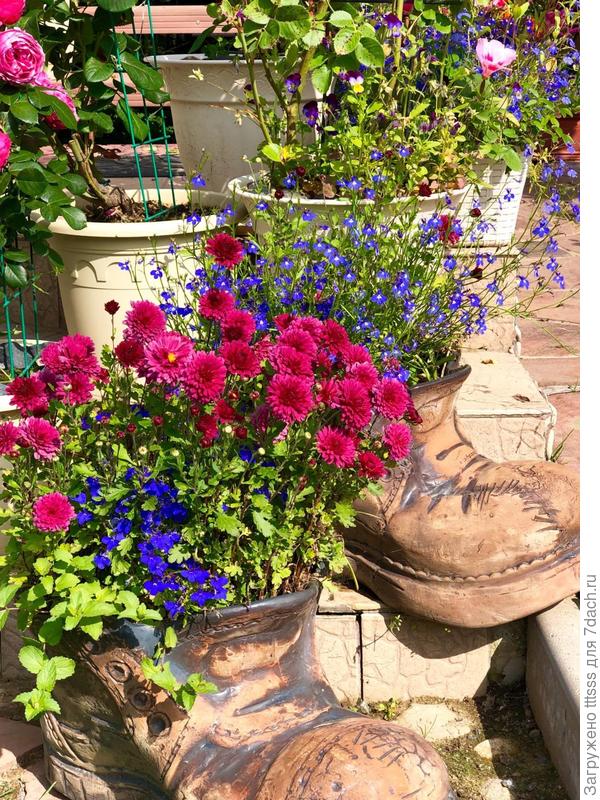 Совместные посадки