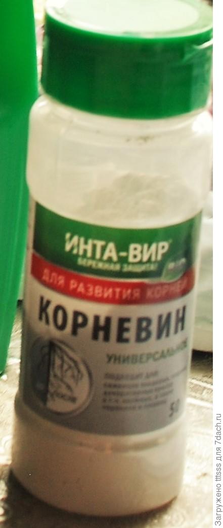 корневин