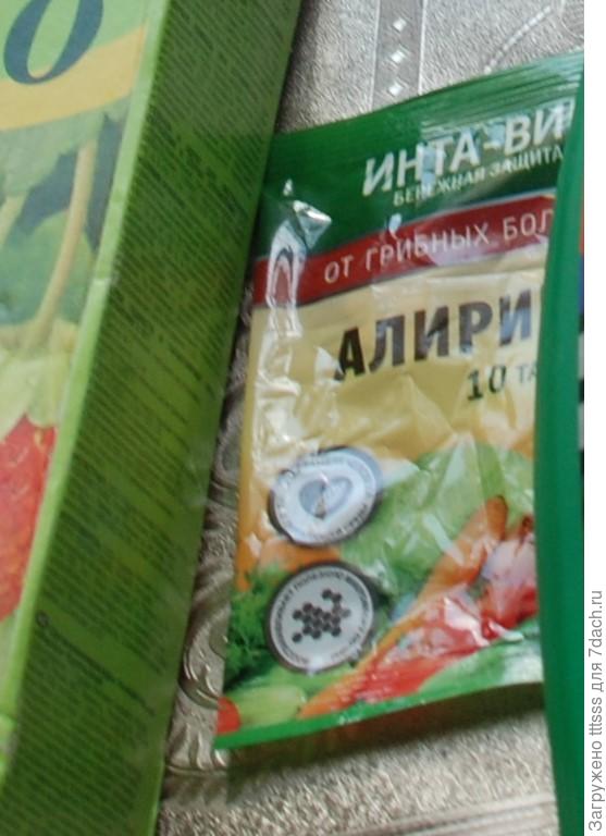 интоксиды