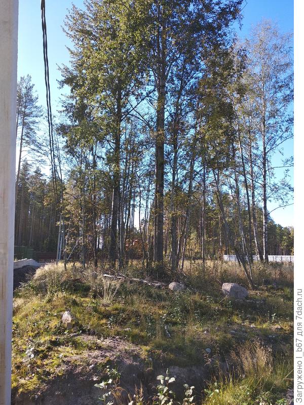 Здесь можно увидеть валуны. Деревья, конечно, будут убраны.