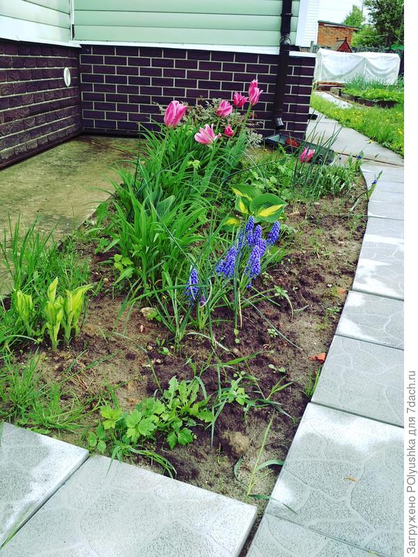 ранняя весна