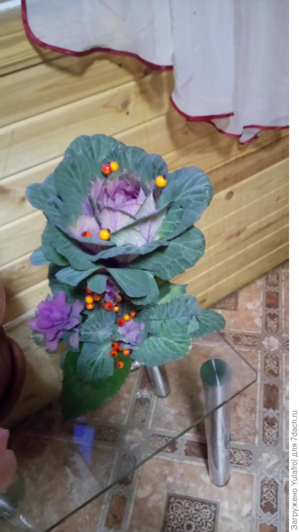 Большая капуста