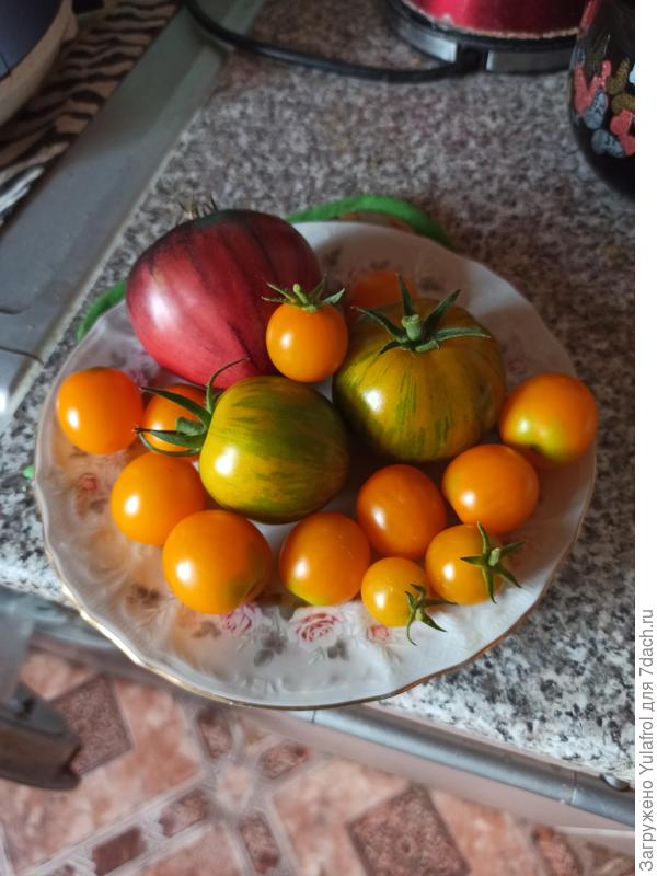 Красота и вкуснота!