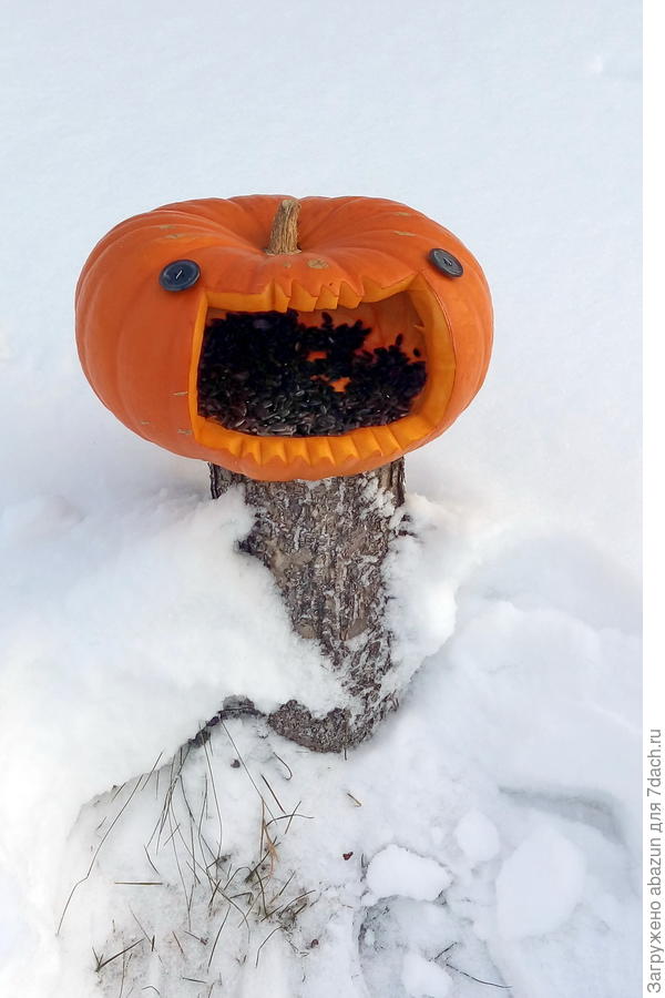 Так скоро будет