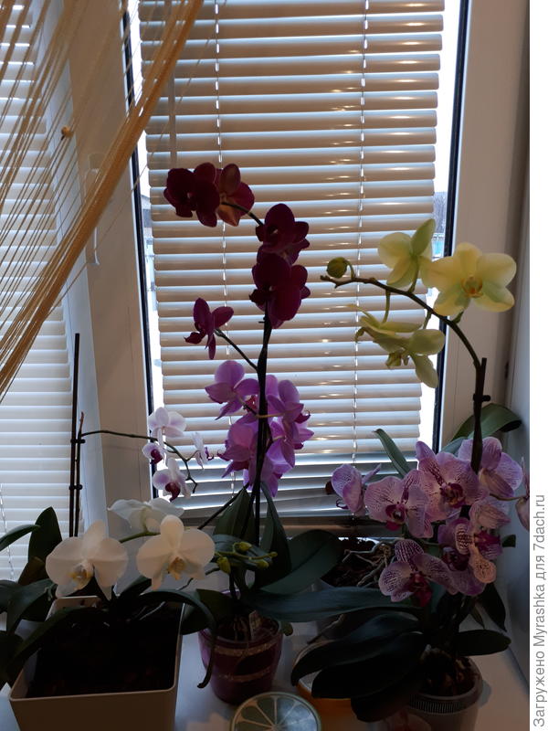 А за окном-зима...