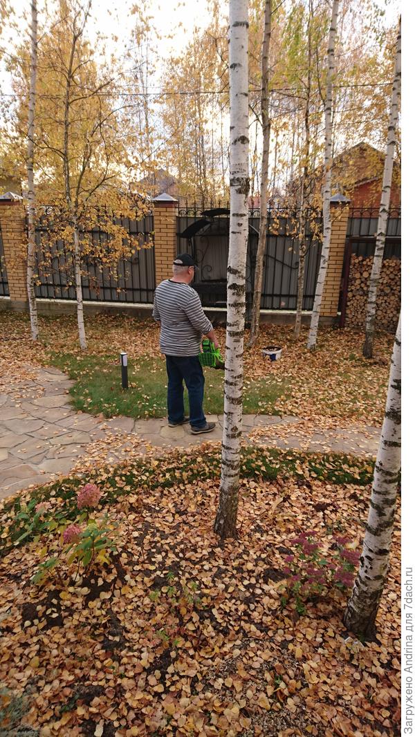 Сдуваем в одну кучку, потом забираем пылесосом, потом относим в компост. И так целый день.