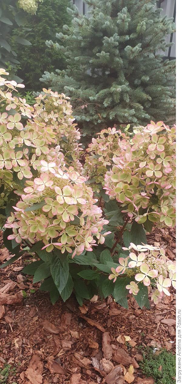 Середина сентября