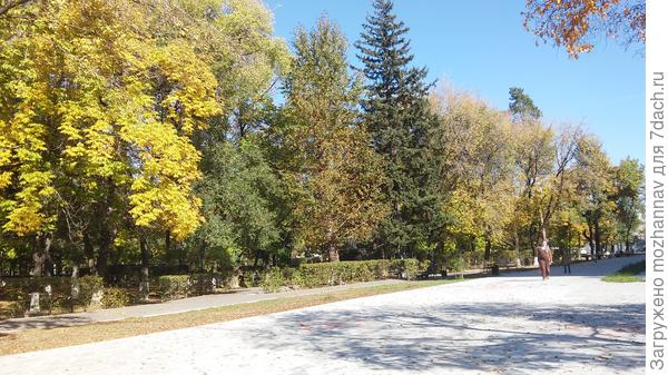Амурская осень в городе