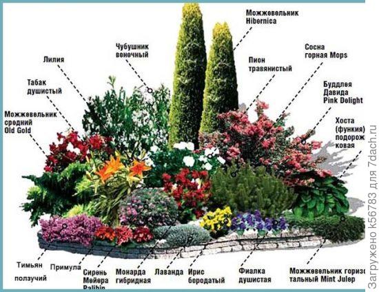 Здесь тоже много растений на меньшей площади
