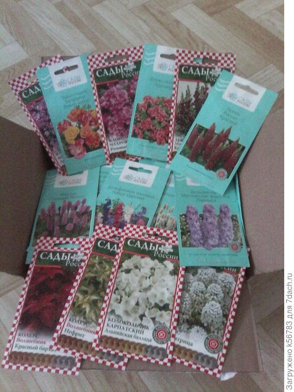 Сегодня получила посылку с семенами из Челябинска - ближайшие выходные будут заняты...