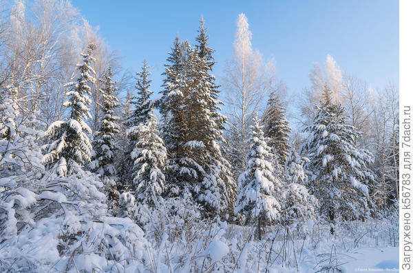 ЗИМНЯЯ СКАЗКА СИБИРИ