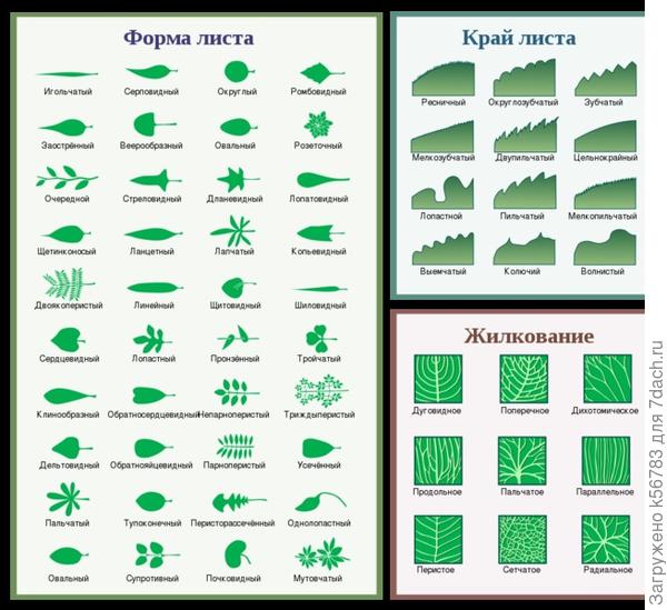Может, пригодится кому-то :)