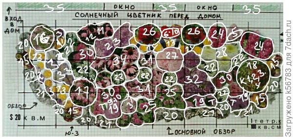План цветника