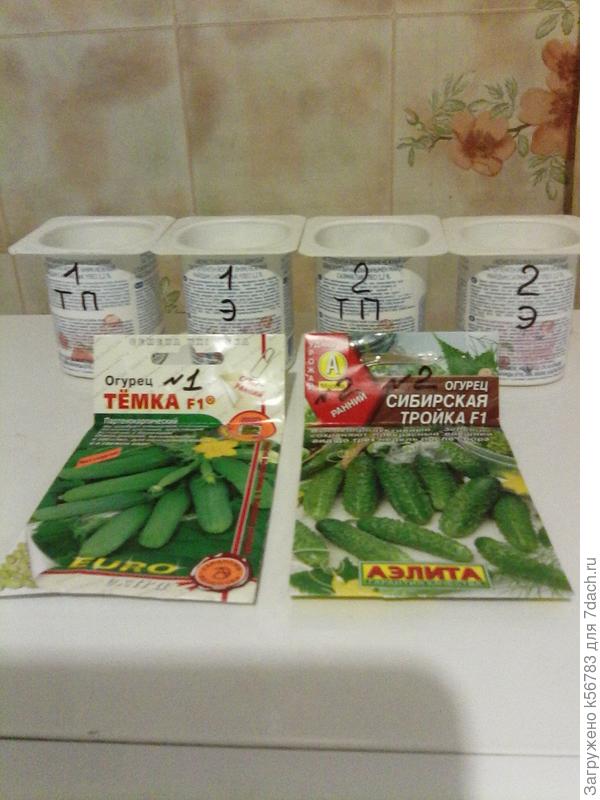 Семена замочены