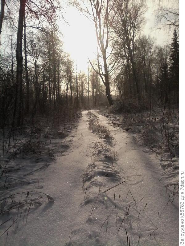 По-зимнему вдруг солнце засияло...