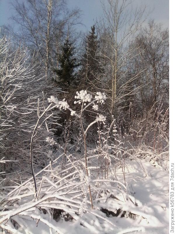 Природа - лучший ландшафтный дизайнер!