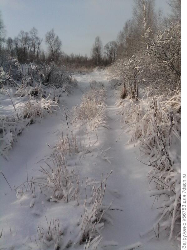 На выпавший на белый...