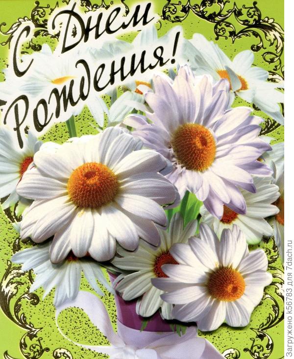 Пусть счастье в дом заходит каждый день, Несёт улыбки, радость и здоровье, Пусть разгоняет скуку, грусть и лень, Магнит удачи пусть доходы ловит.  Ты как в саду цвети, люби и пой, Пусть позитив фонтаном брызг искрится. Пусть рядом будут близкие с тобой, И много нового, прекрасного случится.