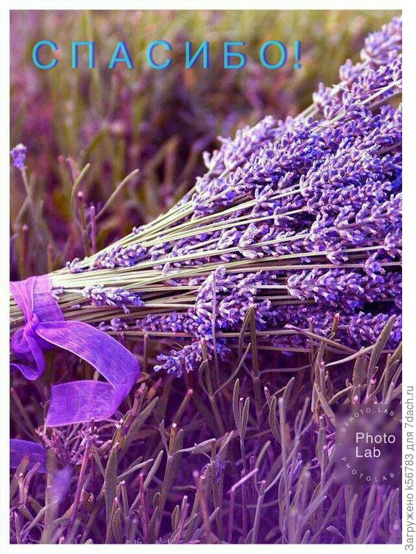 Всем, кто заходил, читал, добавлял фотографии, оставлял комментарии, голосовал, делился знаниями, от всей души ОГРОМНОЕ