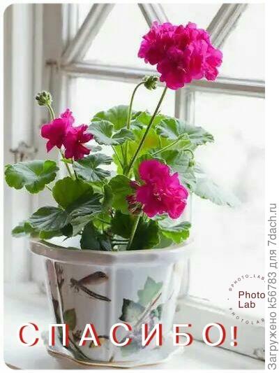 Всем, кто заходил, читал, добавлял фотографии, оставлял комментарии, голосовал, делился знаниями, от всей души ОГРОМНОЕ