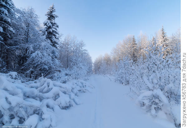 Прошлогодняя зима